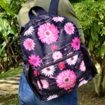 Gerberas